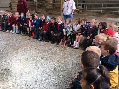 Image of Reception visit to the Wild Boar Park